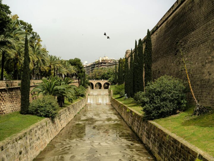Museo de Sa Bassa Blanca